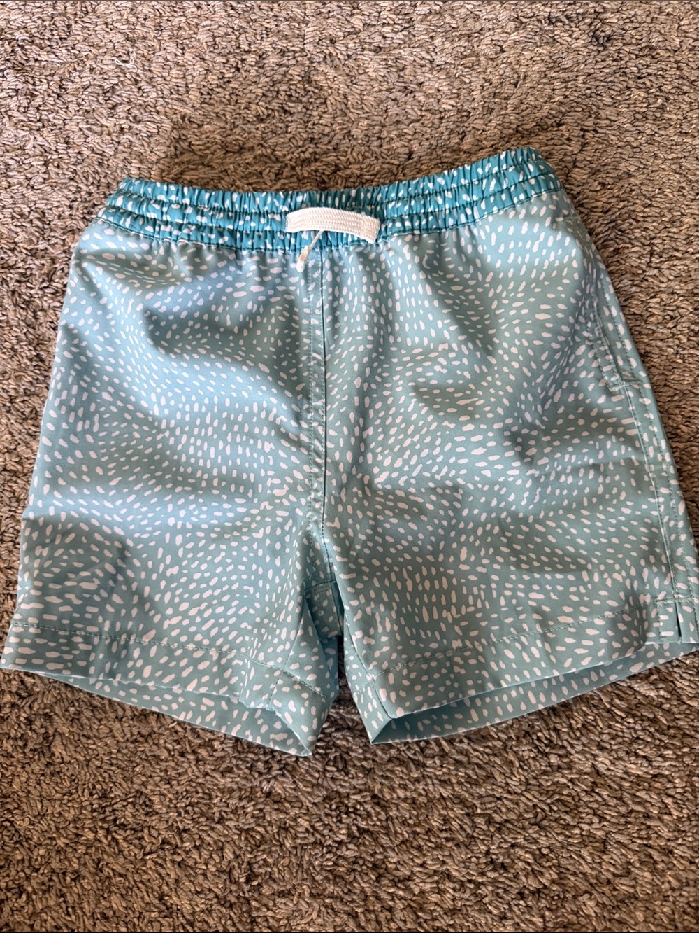 chubbies Kids Light Teal Printed Swim Trunks